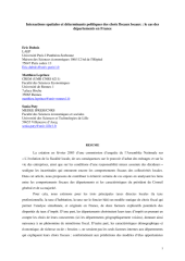 Vignette du fichier