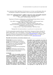 Vignette du fichier
