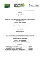 Vignette du fichier