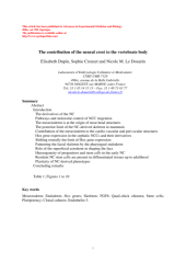 Vignette du fichier