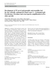 Vignette du fichier
