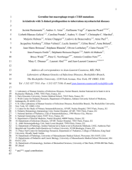 Vignette du fichier