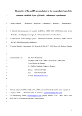 Vignette du fichier