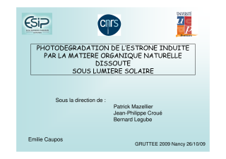 Vignette du fichier