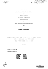 Vignette du fichier