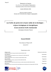 Vignette du fichier