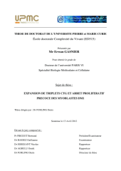 Vignette du fichier