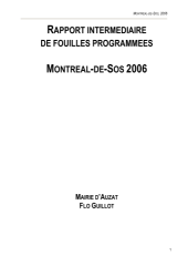 Vignette du fichier
