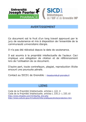 Vignette du fichier