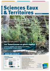 Vignette du fichier