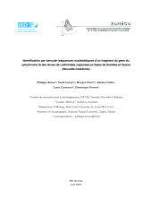 Vignette du fichier