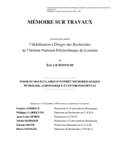 Vignette du fichier