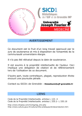 Vignette du fichier