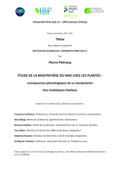 Vignette du fichier