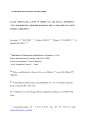 Vignette du fichier