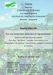 Vignette du fichier