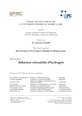 Vignette du fichier