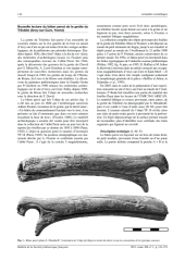 Vignette du fichier