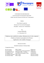 Vignette du fichier