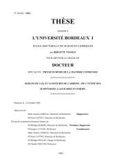 Vignette du fichier