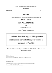 Vignette du fichier