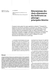 Vignette du fichier