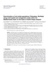 Vignette du fichier