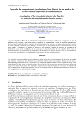 Vignette du fichier