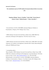 Vignette du fichier