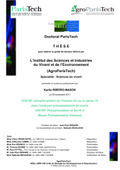 Vignette du fichier