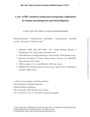 Vignette du fichier