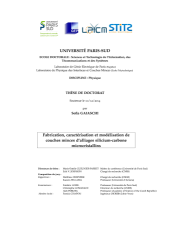 Vignette du fichier