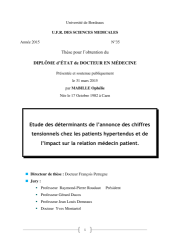 Vignette du fichier