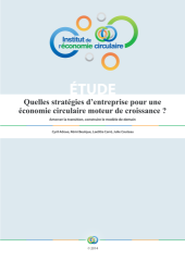 Vignette du fichier