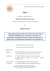 Vignette du fichier
