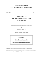 Vignette du fichier