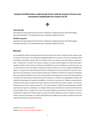 Vignette du fichier