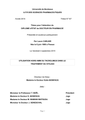 Vignette du fichier