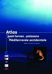 Vignette du fichier