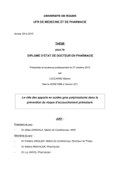 Vignette du fichier