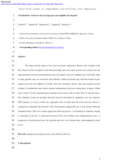 Vignette du fichier