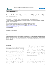 Vignette du fichier