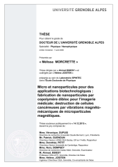 Vignette du fichier