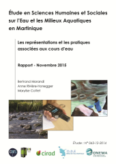 Vignette du fichier