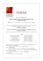 Vignette du fichier