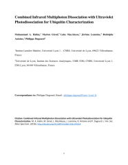 Vignette du fichier