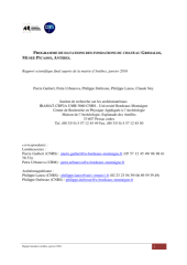 Vignette du fichier