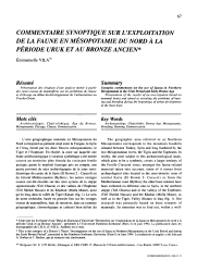Vignette du fichier