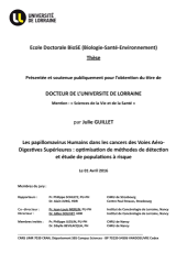 Vignette du fichier