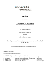 Vignette du fichier